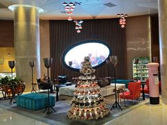 -南京禄口机场雅高铂尔曼大酒店