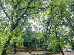 -虞山风景区