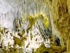 -怀托摩萤火虫洞