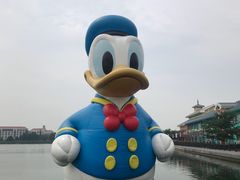 -迪士尼火鸡腿