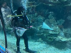 -福州罗源湾海洋世界旅游区