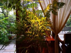 -时光花园(白鹭洲店)