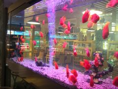 -御池园(顾村公园店)