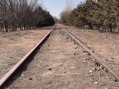 -永定河休闲森林公园