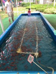 -萌宠亲子动物乐园(槐房万达店)