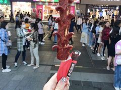 -黑色经典臭豆腐·湖南特产(步行街店)