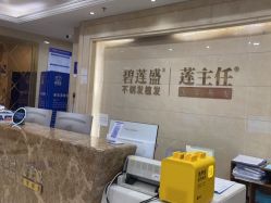 -碧莲盛·不剃发植发