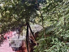-赤水丹霞旅游区·大瀑布