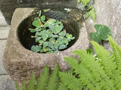 -老屋咖啡