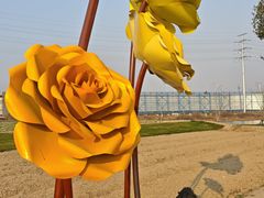 -杭州湾海上花田景区