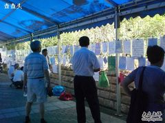 -人民公园-相亲角