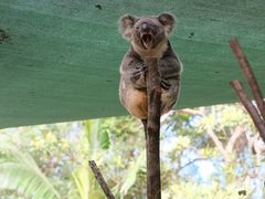 -可伦宾野生动物保护区