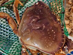 -碧海银沙海鲜餐厅(恒大海上威尼斯店)