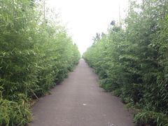 iphone_upload_pic-武汉紫薇都市田园