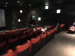 -成都百丽宫影城(LUXE太古里店)