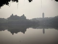 -三水森林公园