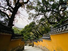 -普陀山风景名胜区-法雨禅寺