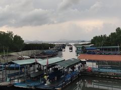 -盐洲岛