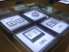 -上海昆虫博物馆