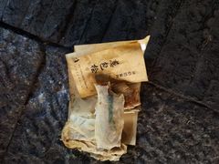 -孙奶奶葱包桧