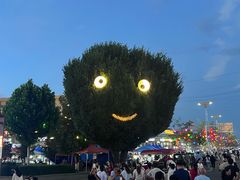 -特克斯八卦城