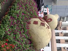iphone_upload_pic-福建中医药大学附属第二人民医院(本部)