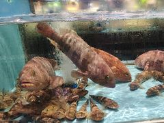 -阿伟海鲜楼·福建菜(延寿店)