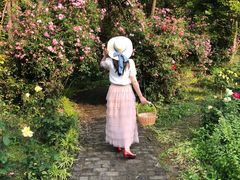 -鹅湖玫瑰文化园