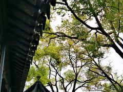 -拙政园