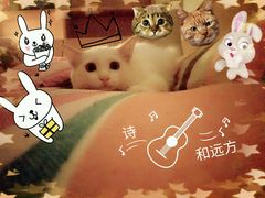 -达爱动物医院·犬猫分区·CT·复杂眼科(远洋山水分院)