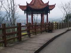 -万峰林风景区