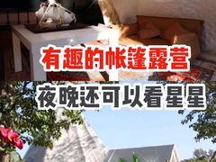 -安德鲁户外烧烤帐篷营地(马泉营店)