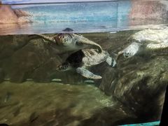 -福州罗源湾海洋世界旅游区