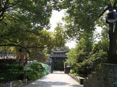 -小湾茶楼