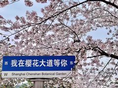 -上海辰山植物园