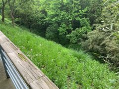-西湖风景区-江洋畈生态公园