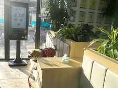 -美联众合动物医院·24h转诊中心