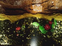-御池园(顾村公园店)