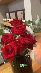 -芳香乐府疗愈空间·SPA·冥想