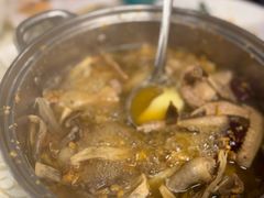 药膳乳鸽煲-百利鸽王(紫薇路店)