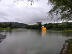 -上海佘山世茂艾美酒店