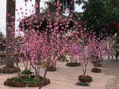 景点-观澜山水田园