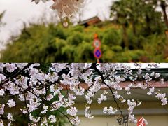 -南京城墙景区