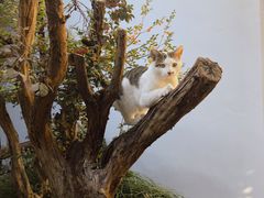 -苏州文旅花间堂·探花府酒店
