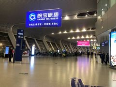 -合肥新桥国际机场-航站楼