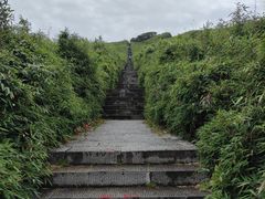 -炎陵县神农谷国家森林公园