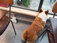 -Home Cafe