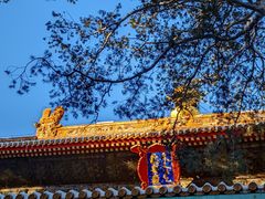 -故宫博物院(故宫)