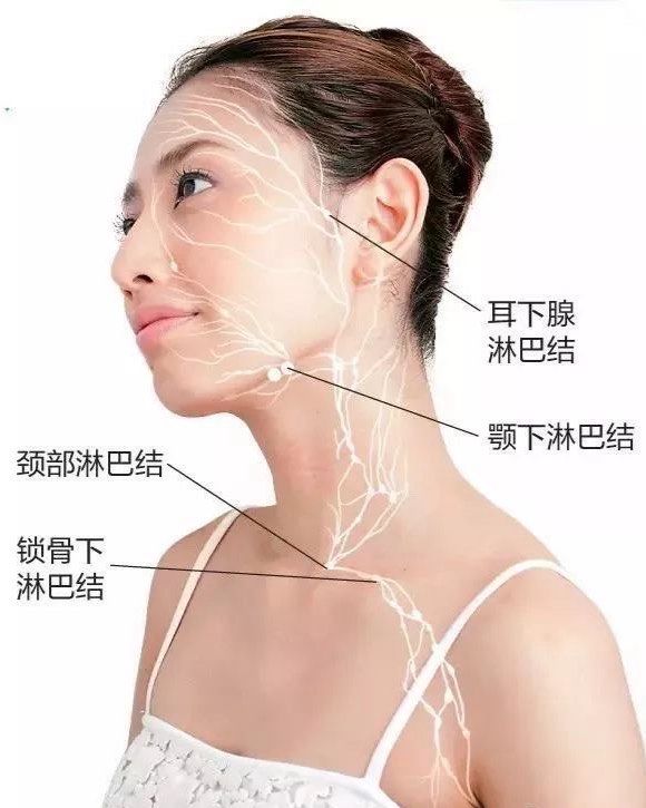 淋巴排毒