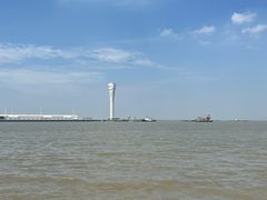 -吴淞炮台湾湿地森林公园烧烤区